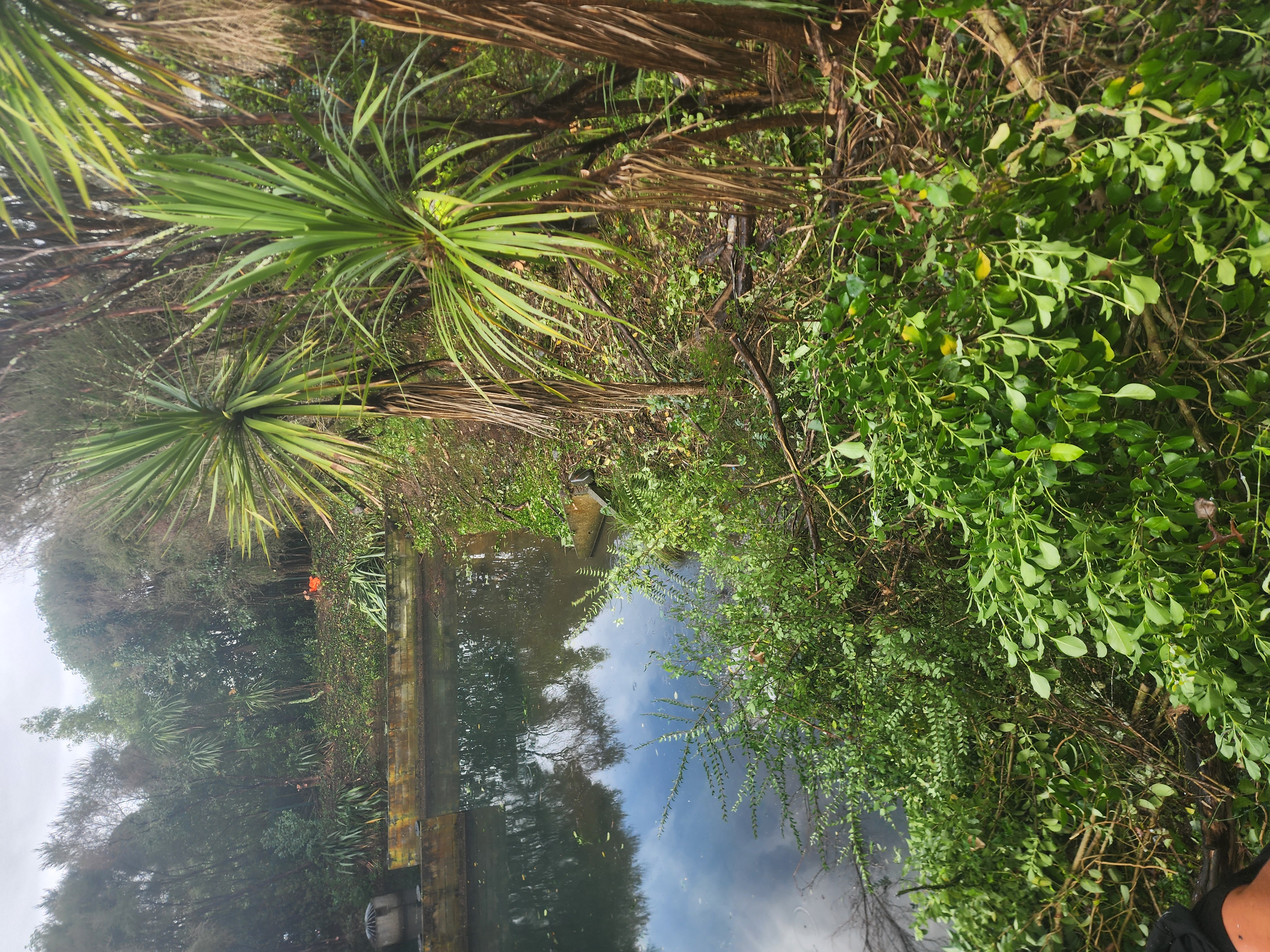 stormwater pond cleared of excess vegetation and pond sediment healthy water prevent floods